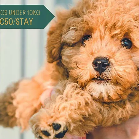 Newly Renovated With Panoramic Landscape View Jacuzzi & Billiard Дом отдыха